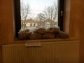 IMG_1992